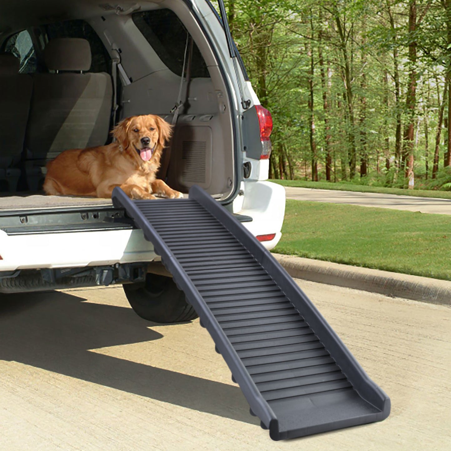 Rampa cães dobrável 155x40 cm até 90 kg preto