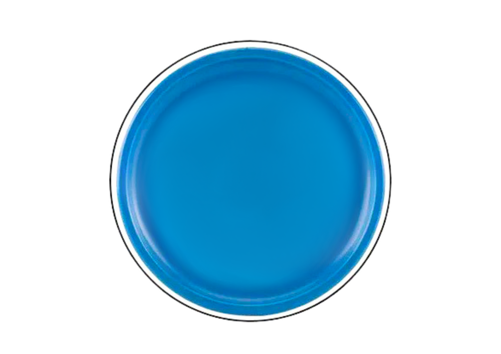 Frisbee dinossauro azul 20cm