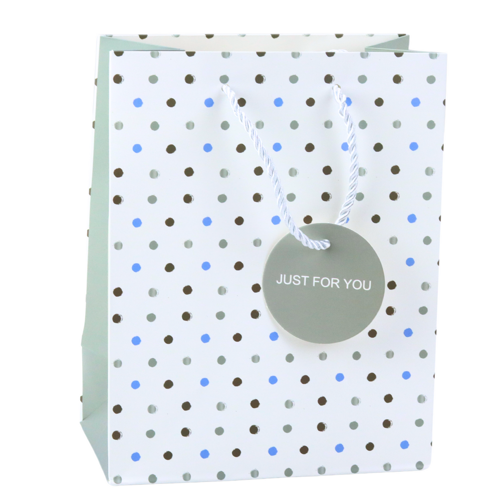 Saco de Presente Just For You com Bolinhas 23x18x10,5cm (1 unidade, sortido)
