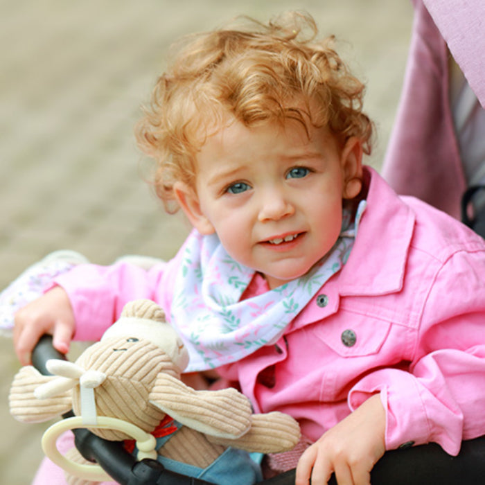 Brinquedo musical Baby Ono Cão Jardineiro