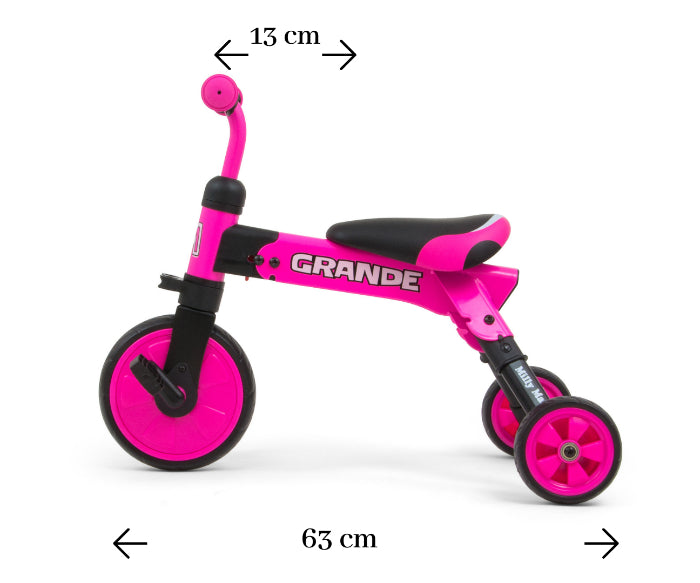 Bicicleta 2 em 1 Milly Mally Grande Pink