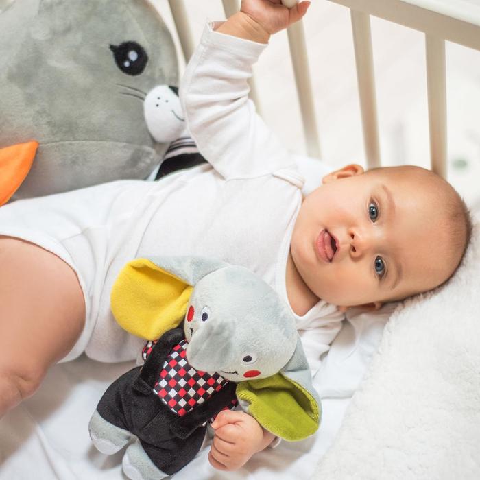 Baby Ono - Andy, o Elefante