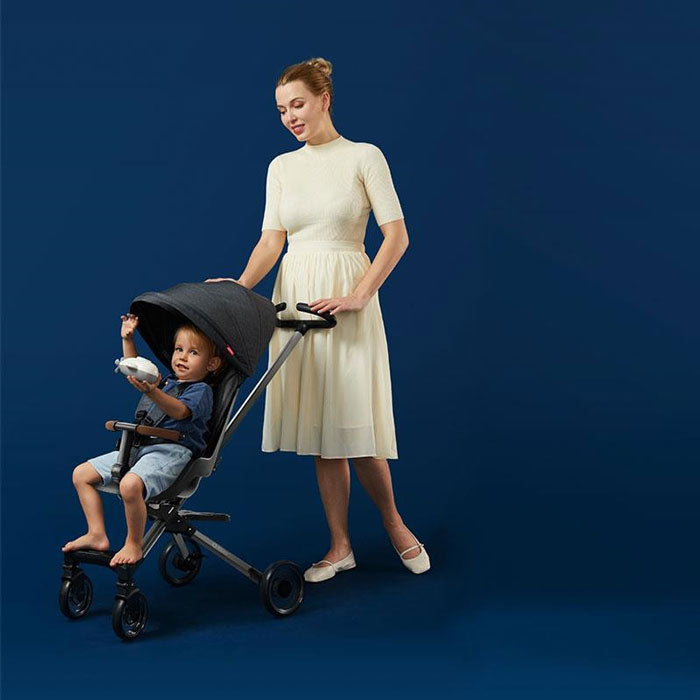Carrinho Qplay Easy Grey