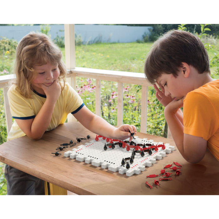 Family Game Jogo PegXT