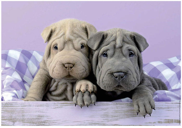 Puzzle Junior 100 Bom Dia