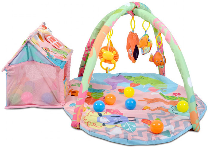 Ginásio Cangaroo Happy Farm pink