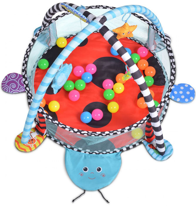 Ginásio Cangaroo LadyFly