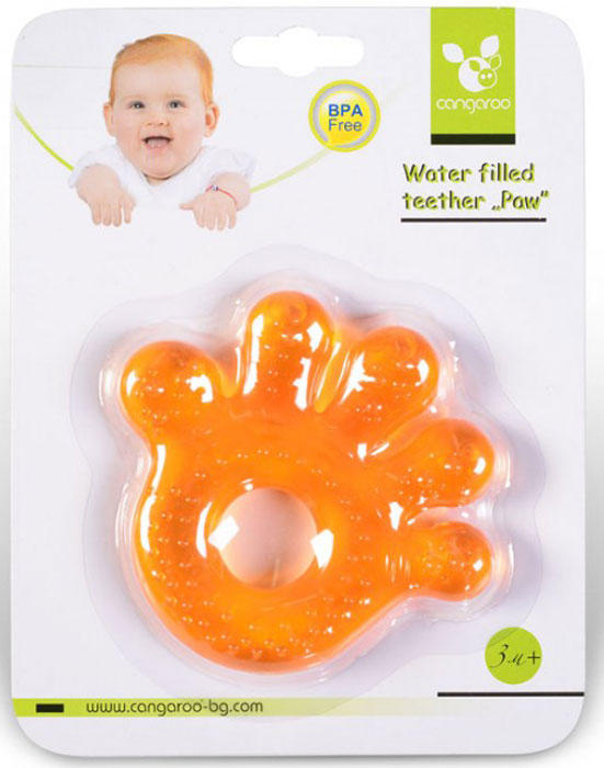 Mordedor com água Cangaroo Paw orange