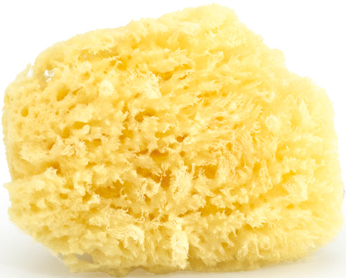 Bebedue - Esponja Natural Marina