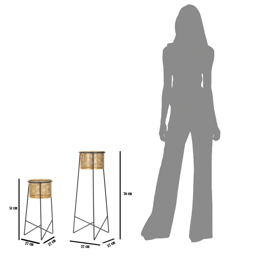 Jarra Par Exy Cm ø 37x76-27x51