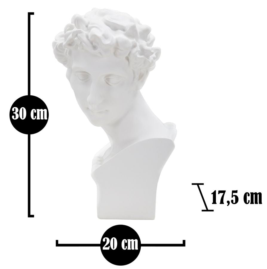 Escultura Romano Jovem Cm 20x17,5x30