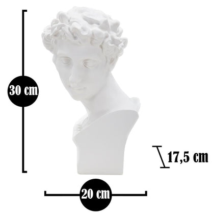 Escultura Romano Jovem Cm 20x17,5x30