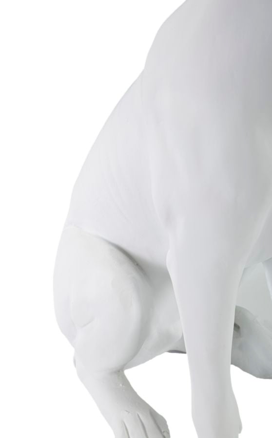 Cão com Coroa Branco Cm 20x12,5x33