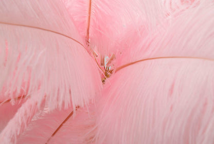 Candeeiro de Pé Palmeira Rosa Cm ø 55x160