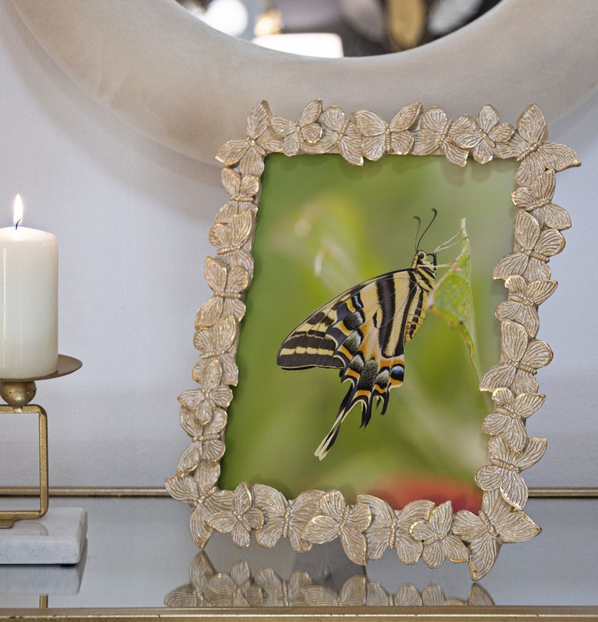 Moldura Borboletas Glod Cm 27,5x2,6x32,5 (medida Interna Cm 20x25)