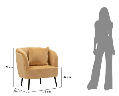 Poltrona Browy com Almofada Cm 73x66x78