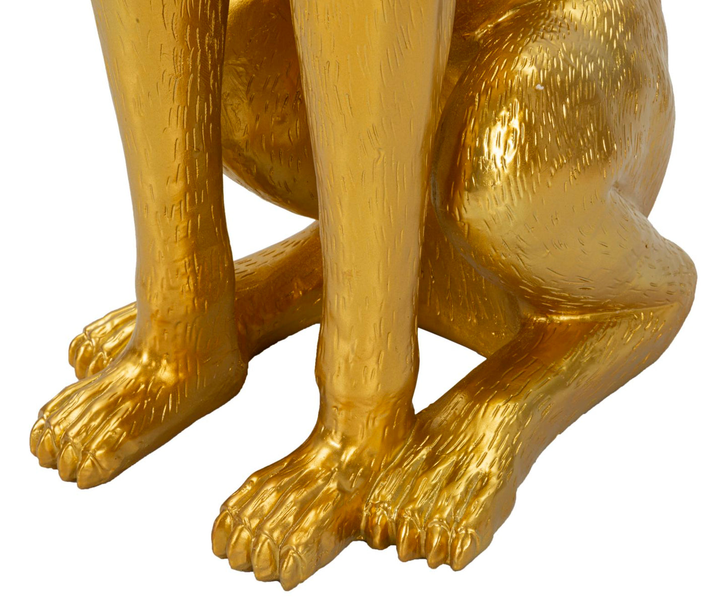 Cão Pit Porta objetos Cm 30x64x91