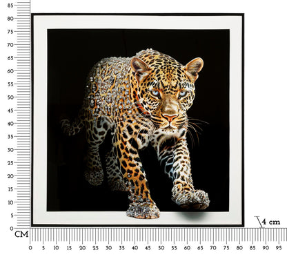 Pintura Sobre Tela Lacado Giaguaro com Moldura -A- Cm 82x4x82