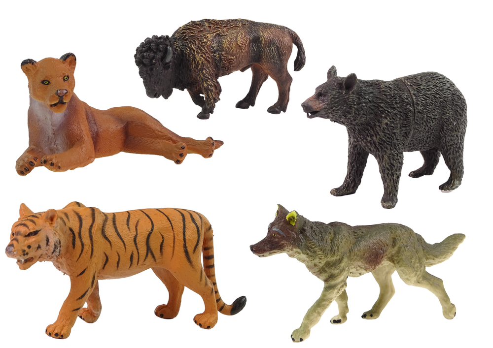 Animais floresta africana urso tigre