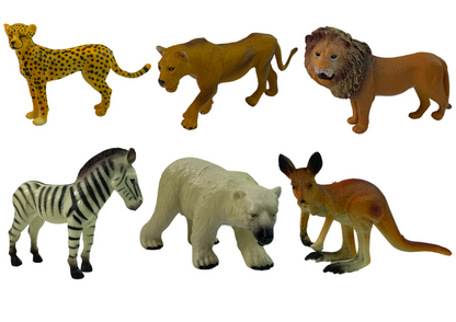Animais África canguru zebra