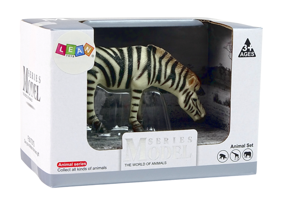 Zebra coleção grande, coleção Animais do Mundo