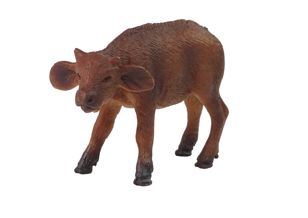 Cria búfalo africano