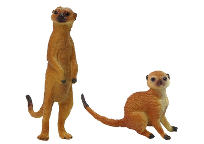 Suricata 2 peças, coleção Animais do Mundo