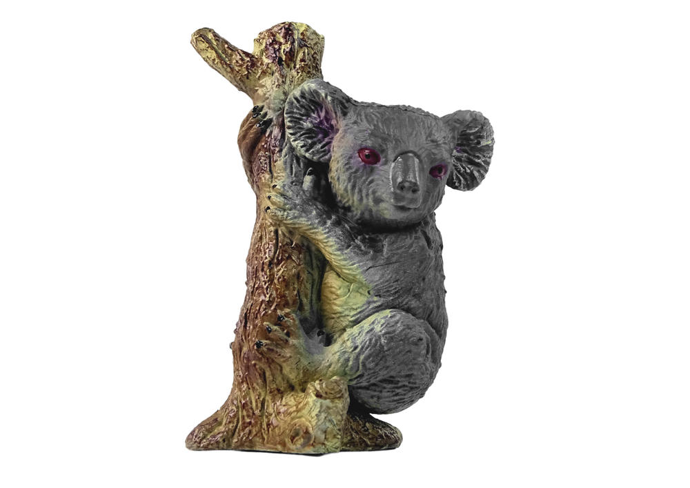 Koala árvore