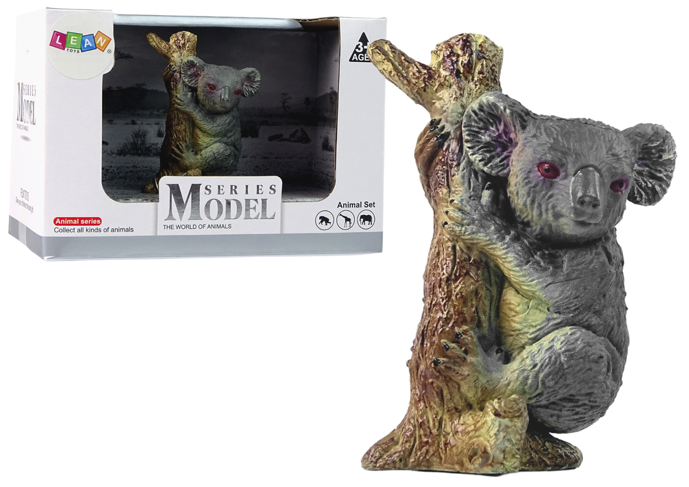 Koala árvore