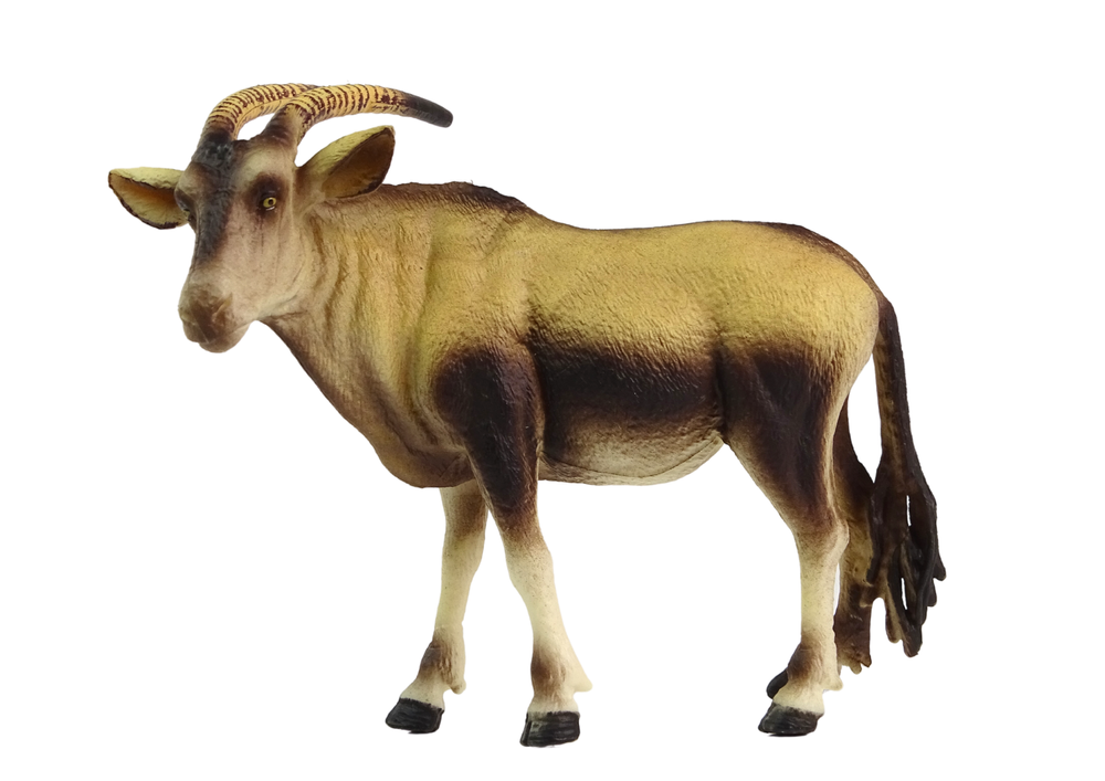 Antílope africano