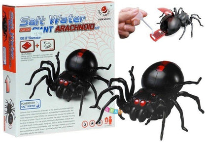 Kit aranha movida a água salgada DIY