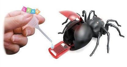Kit aranha movida a água salgada DIY