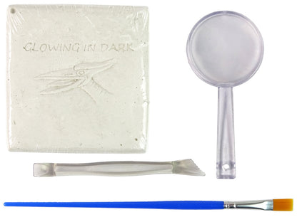Kit escavação dinossauro pteranodonte