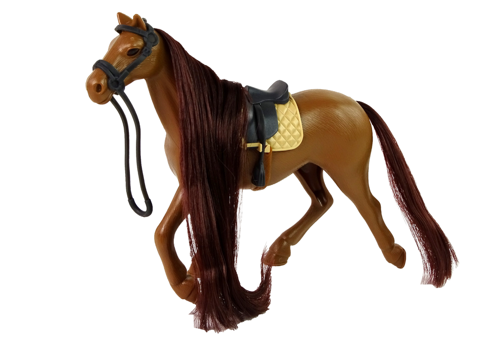 Cavalo escovar quinta