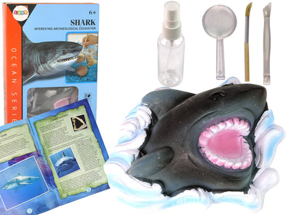 Kit escavação amonite tubarão