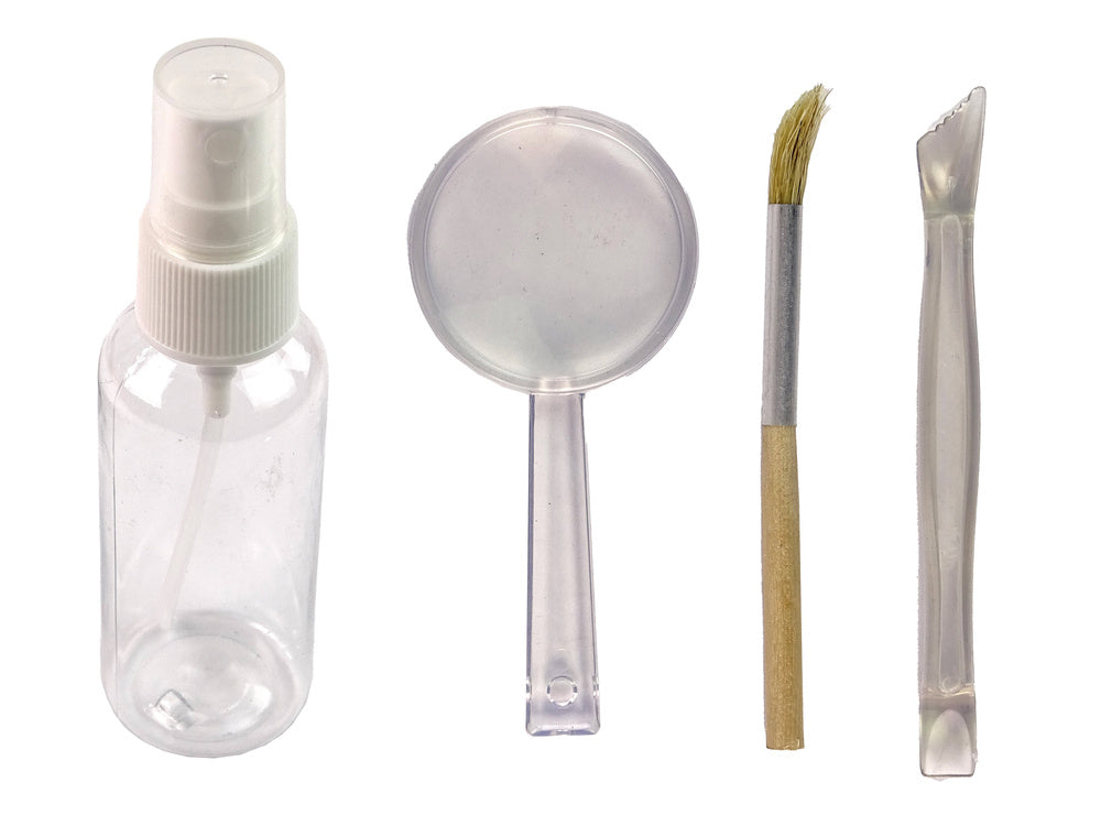 Kit escavação amonite tubarão