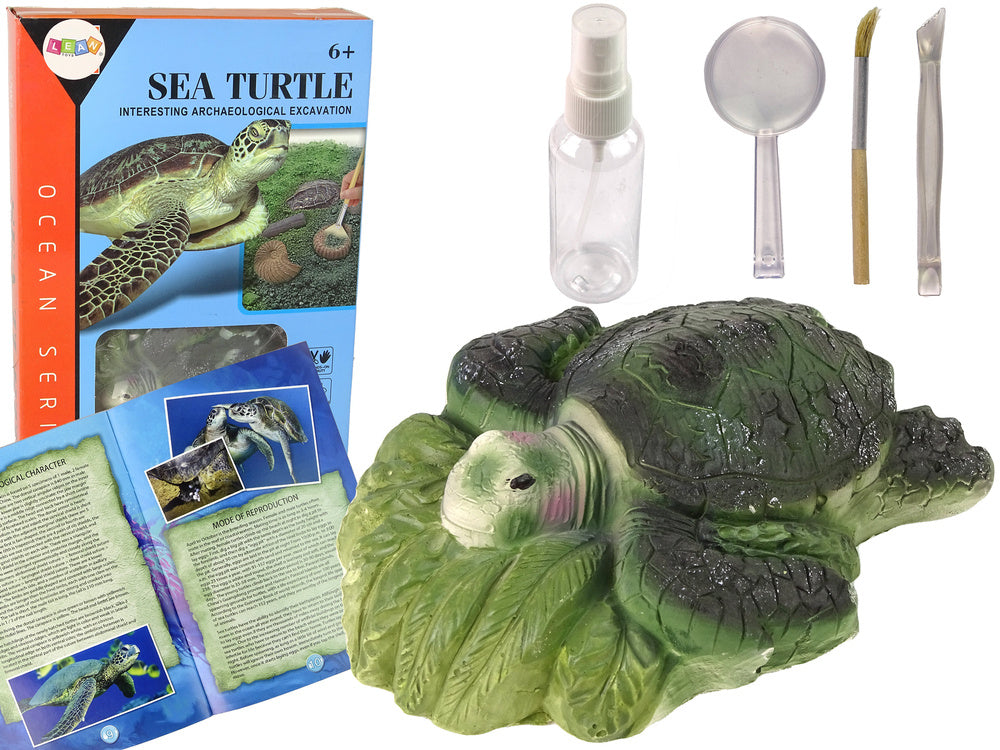 Kit escavação amonite tartaruga