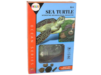 Kit escavação amonite tartaruga