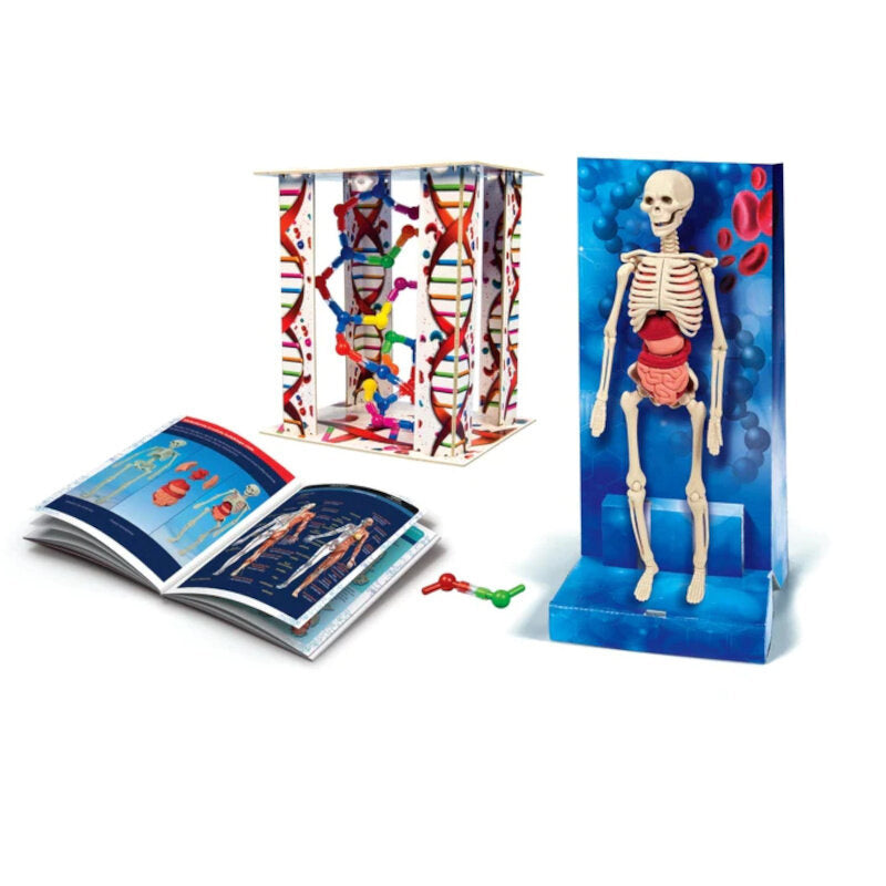 Kit corpo humano Clementoni