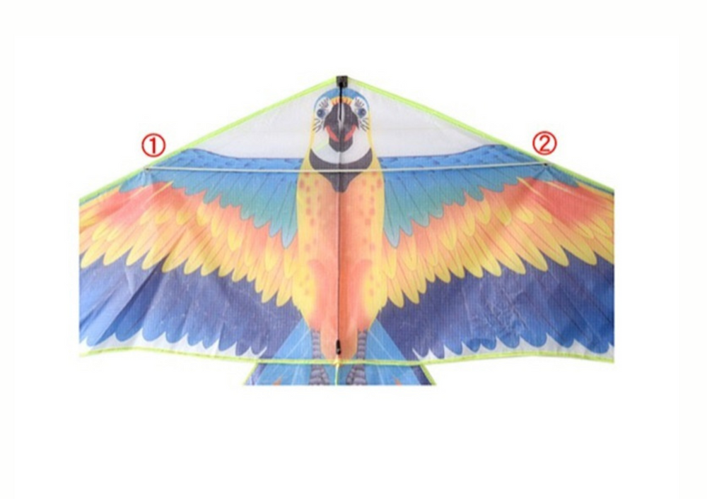 Papagaio gigante pássaro com cauda longa colorido