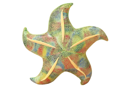 Almofada Peluche Estrela-do-Mar Verde 20cm