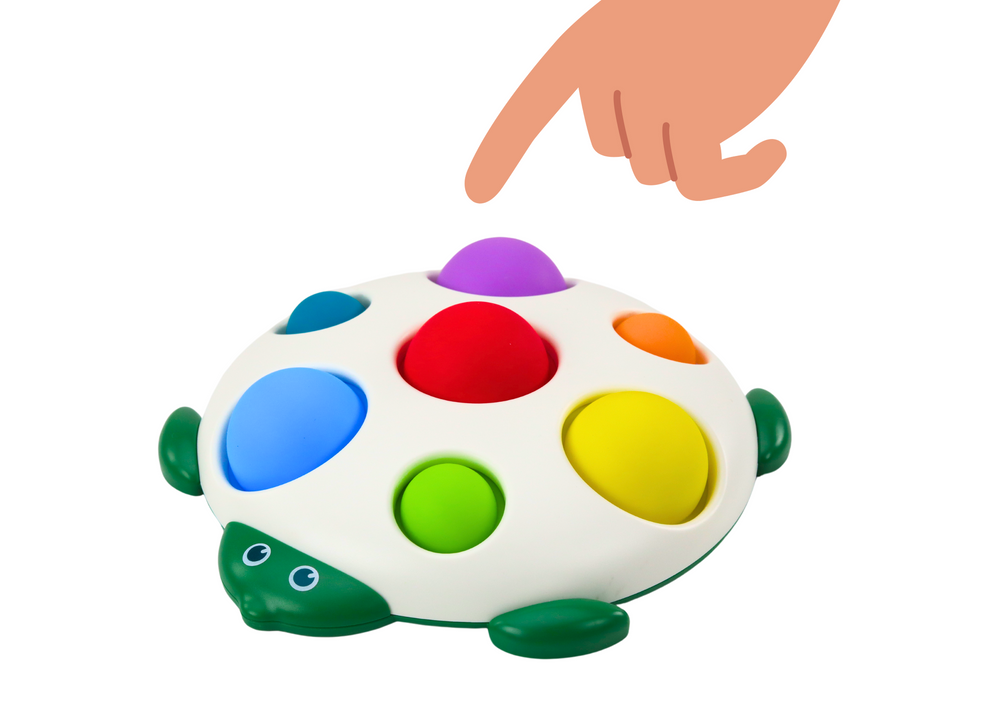 Tabuleiro sensorial tartaruga Pop It educativo
