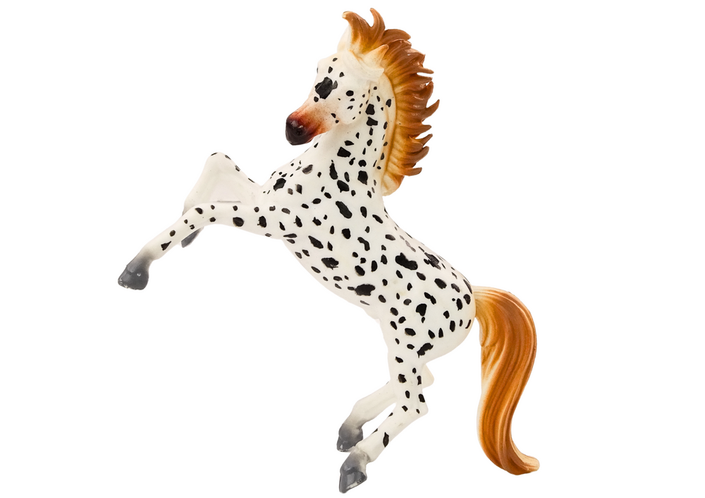 Cavalo branco com pintas estábulo
