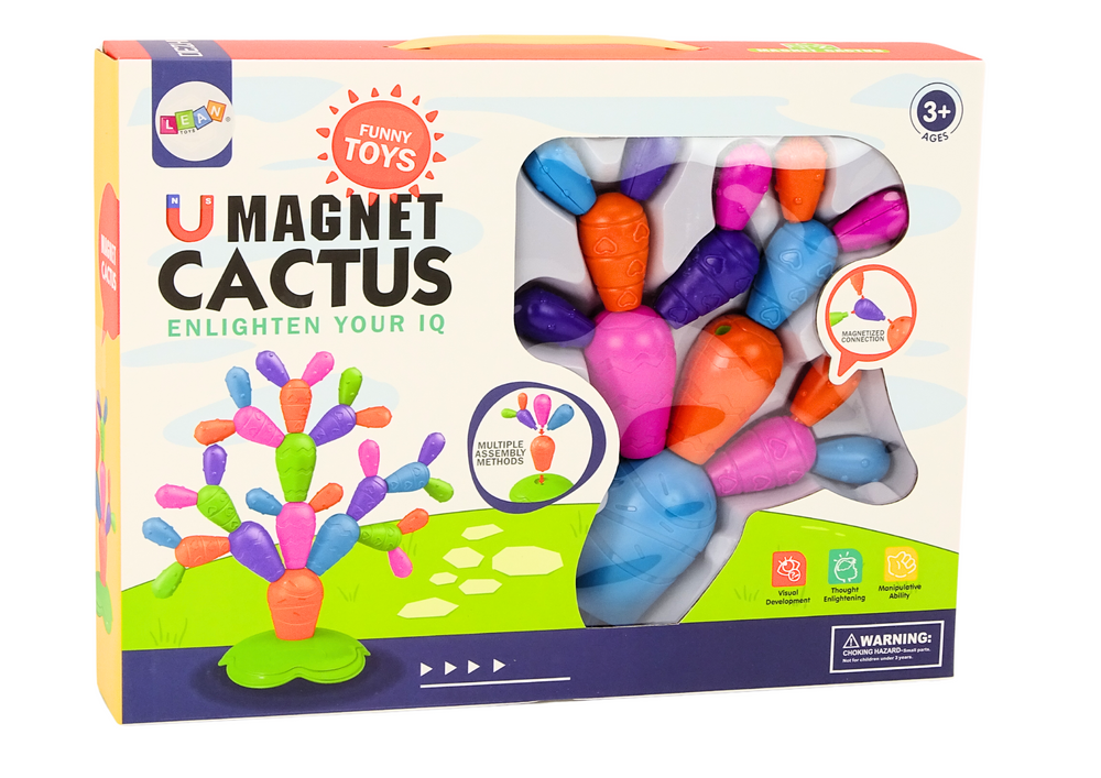 Blocos construção cacto magnético 16 peças