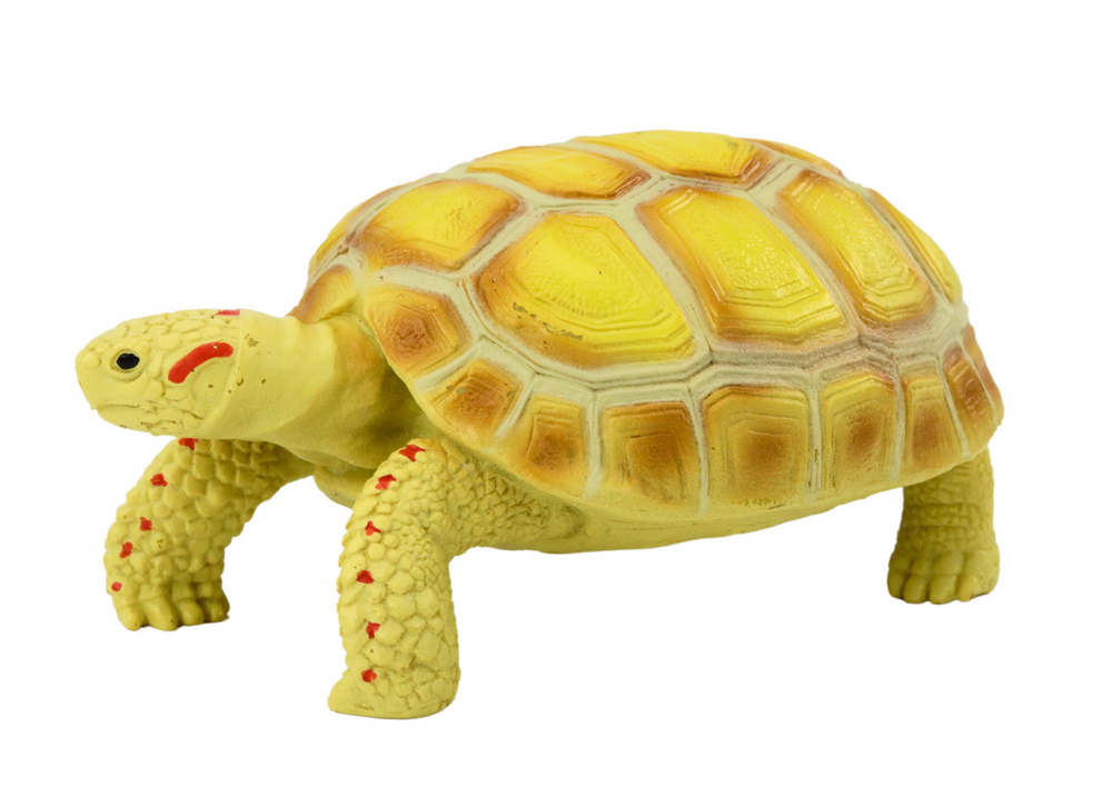 Tartaruga amarela coleção
