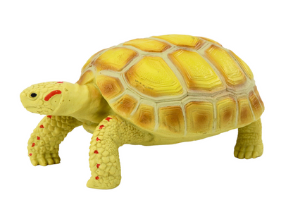 Tartaruga amarela coleção