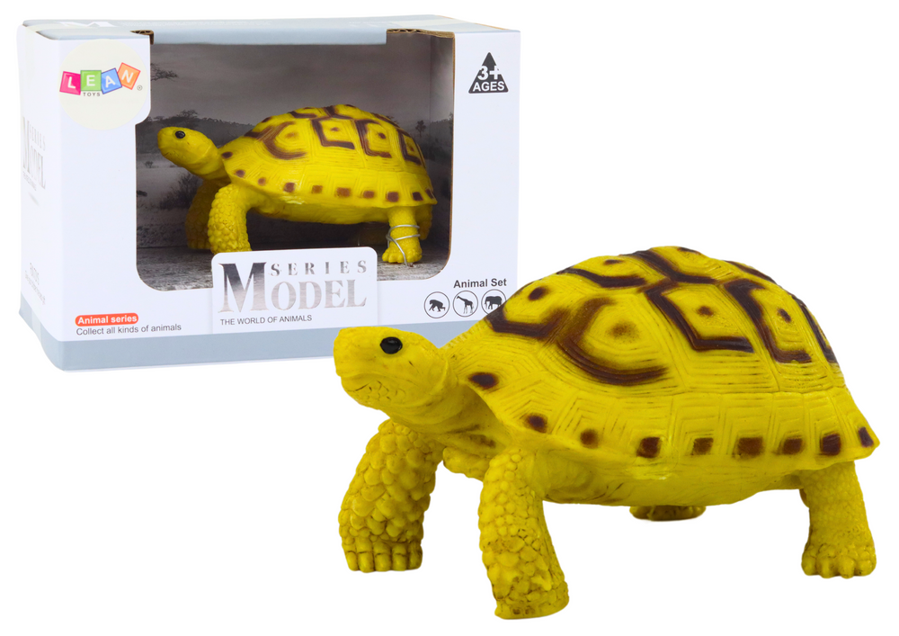 Tartaruga amarelo castanho coleção