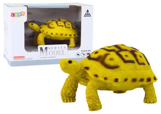 Tartaruga amarelo castanho coleção