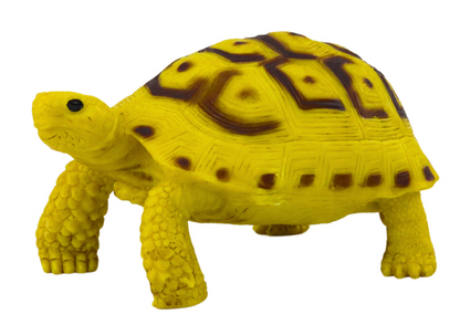 Tartaruga amarelo castanho coleção