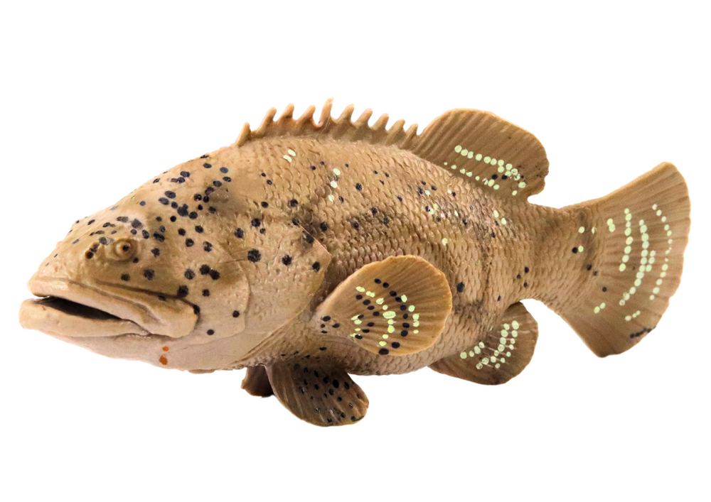 Peixe goliath cinzento 11 cm